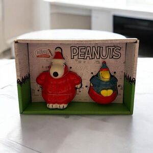 New Hand Painted Peanuts Snoopy  Woodstock Puffy Coat Salt & Pepper Shakers